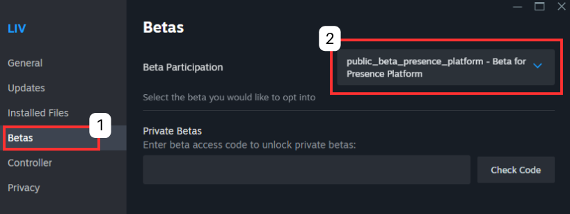 Steam LIV App Settings